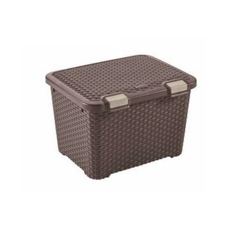 Taizhou Huangyan Custom Plastic Injection Moulding Household Rattan Storage Basket Mould